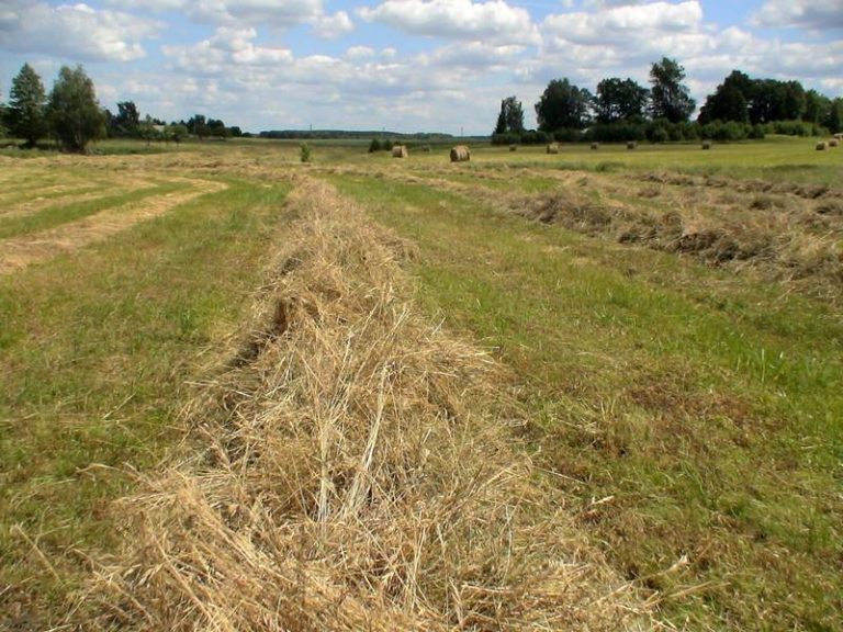 Грабли-ворошилки роторные ГВР-3
